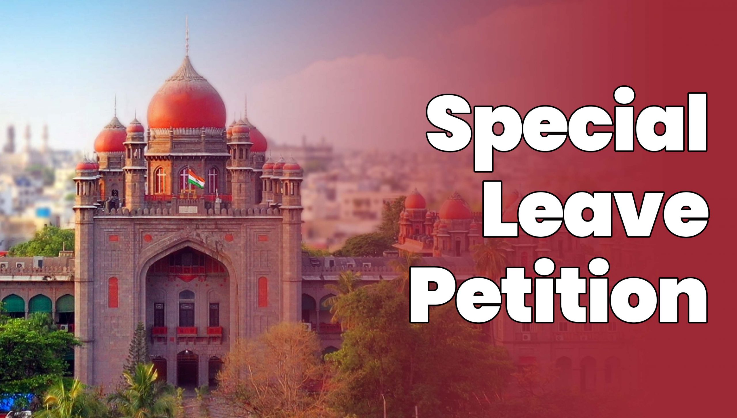 special leave petition